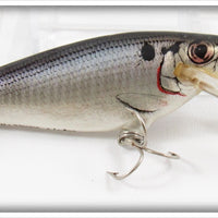 Vintage Bagley Shad On White Small Fry Shad Lure