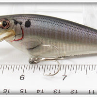 Bagley Shad On White Small Fry Shad