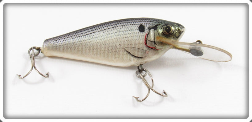 Vintage Bagley Shad On White Small Fry Shad Lure