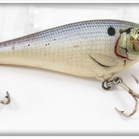 Vintage Bagley Shad On White Small Fry Shad Lure
