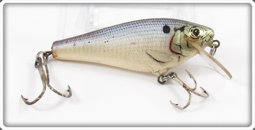 Vintage Bagley Shad On White Small Fry Shad Lure
