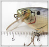 Bagley Shad On White Small Fry Shad