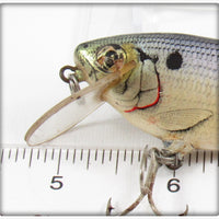 Bagley Shad On White Small Fry Shad