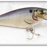 Vintage Bagley Shad On White Small Fry Shad Lure
