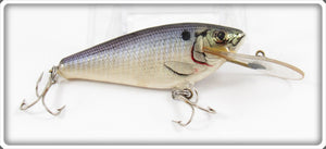 Vintage Bagley Shad On White Small Fry Shad Lure