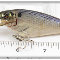 Bagley Shad On White Small Fry Shad