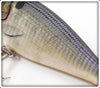 Bagley Shad On White Small Fry Shad