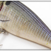 Bagley Shad On White Small Fry Shad