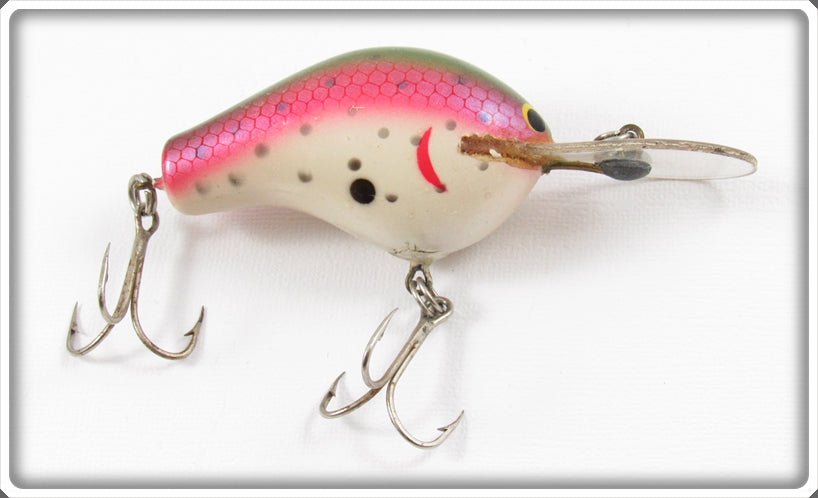 Vintage Bagley Rainbow Trout Diving B 1 DB1 Lure