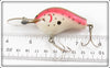 Bagley Rainbow Trout Diving B 1 DB1