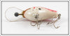 Bagley Rainbow Trout Diving B 1 DB1