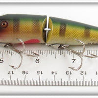 AL&W Creek Chub Perch Jointed Pikie