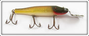 Vintage Creek Chub Golden Shiner Deep Diving Pikie Lure