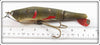 C.C. Roberts Natural Mud Puppy