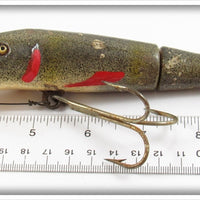 C.C. Roberts Natural Mud Puppy