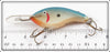 Norman Blue & Silver Scale Tn Kil'er