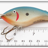 Norman Blue & Silver Scale Tn Kil'er