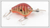 Vintage Bagley Dark Crayfish Diving B1 Lure 