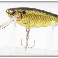 Bagley Black On Gold Small Fry Shad