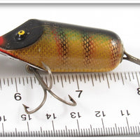 South Bend Perch Dive Oreno