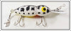 Whopper Stopper Coachdog Hellbender In Box 1016