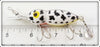 Whopper Stopper Coachdog Hellbender In Box 1016