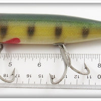 Creek Chub Perch Husky Pikie