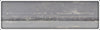 Naturalure Bait Co Golden Shiner Jointed Strikee In Unmarked Box