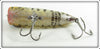 Heddon Yellow Coachdog Clear Belly Chugger Spook