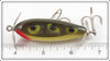 Creek Chub Frog Plastic Baby Injured Minnow