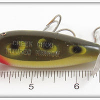 Creek Chub Frog Plastic Baby Injured Minnow