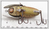 Heddon Silver Shore Crazy Crawler