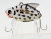Heddon Coachdog Sonic In Box 385 CD