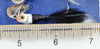 Heddon Perch, Red Head White & White Head Black Spin Spinfin Kit In Box