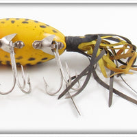 Arbogast Yellow Coachdog Hula Popper