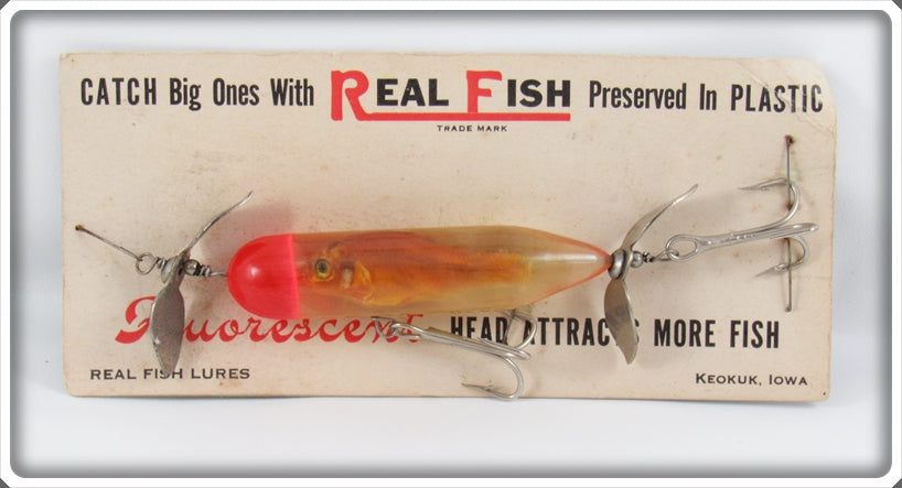 Vintage Real Fish Lures Preserved Minnow Lure On Card