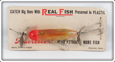 Vintage Real Fish Lures Preserved Minnow Lure On Card