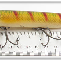 Heddon Perch Vamp