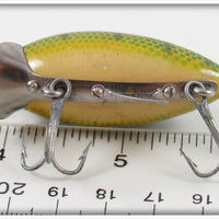 Clark's Perch Scale Water Scout