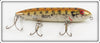 Vintage Heddon G Finish Gold Bass Zara Spook Lure