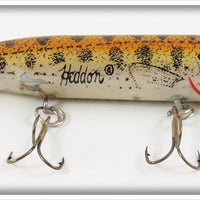 Vintage Heddon G Finish Gold Bass Zara Spook Lure