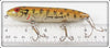 Heddon G Finish Gold Bass Zara Spook