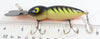 Whopper Stopper Fire Tiger Hellbender