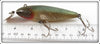 Creek Chub Natural Chub Scale Wiggler