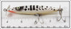 Heddon White & Black Coachdog Dying Flutter