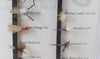 Orvis 20 Fly Selection In Package
