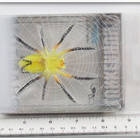 Lunkerhunt Yellow & Black Phantom Spider In Package