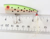 Rebel Glitter Rainbow Trout Pop R