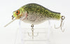Bagley Crappie On White Small Fry Crappie