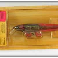 Storm Thundercore Dawg & Wildeye Live Sunfish On Cards